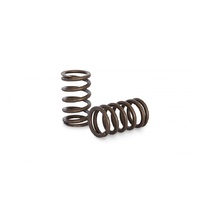 Kelford Valve Spring Set suits Nissan RB20-25DE/DET 