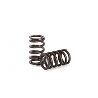 Kelford High Performance Valve Spring Set suits Nissan SR20-DET NVCS S13/S14/S15