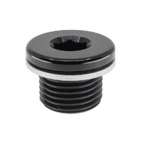 Raceworks M10x1.25 In-Hex Plug W/ Washer