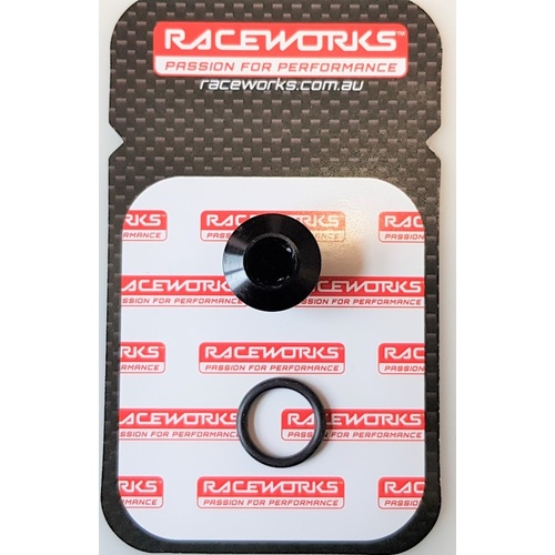 Raceworks AN IN HEX O-Ring Plug AN-6